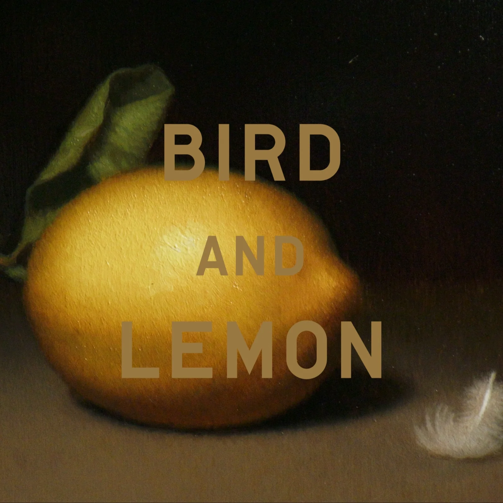 Bird And Lemon Handblown Refillable Candle - Image 3