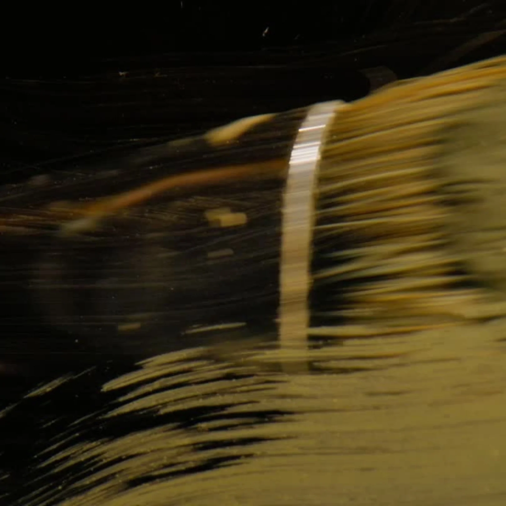 Bird And Lemon Handblown Refillable Candle - Image 4