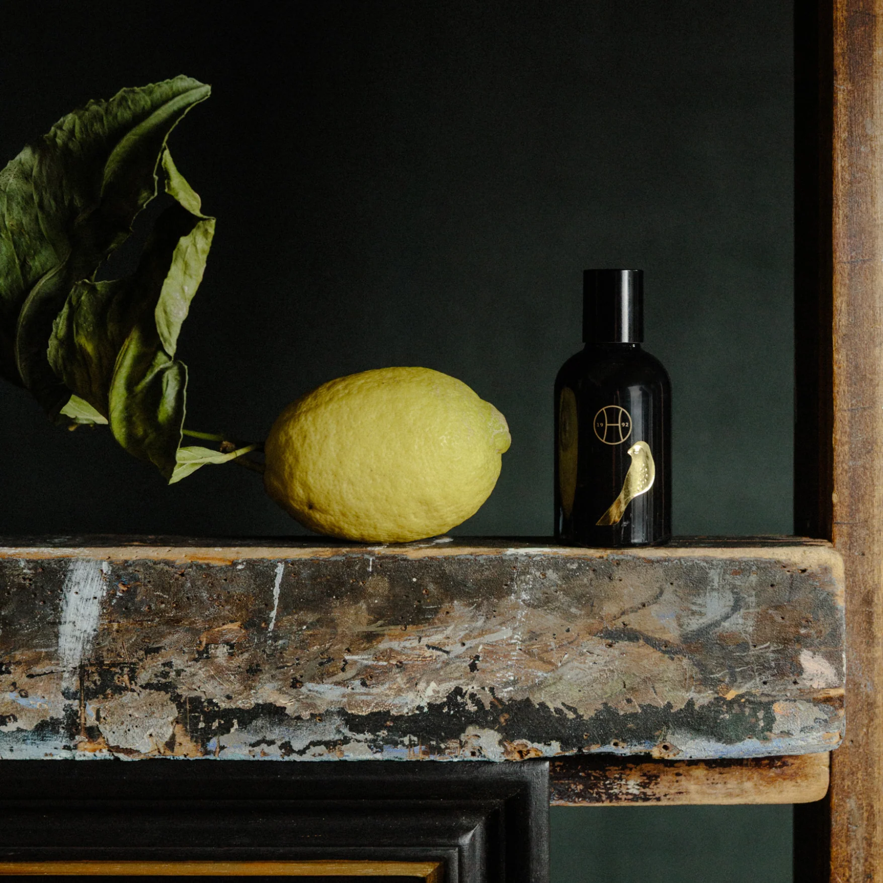 Bird And Lemon Gift - Image 3