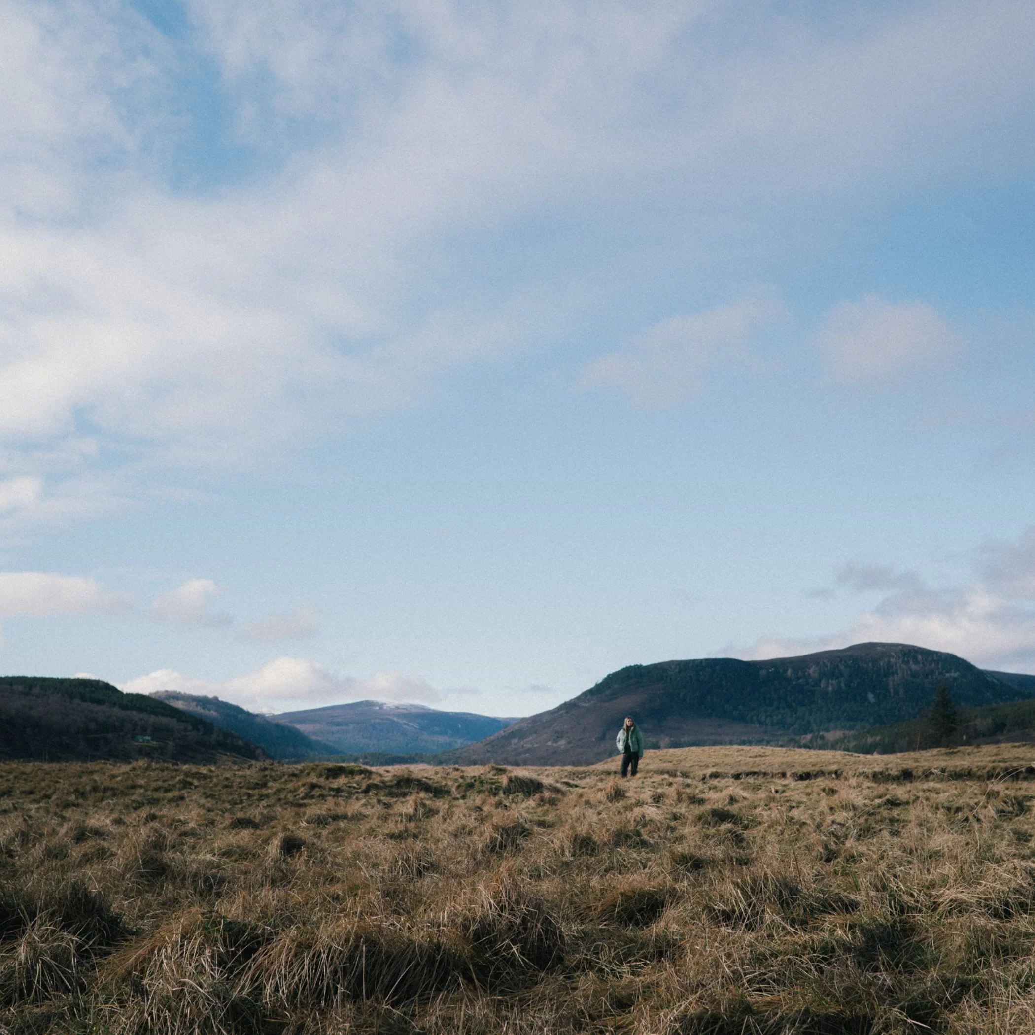 Rain Wood Hand Wash 500ml - Image 6