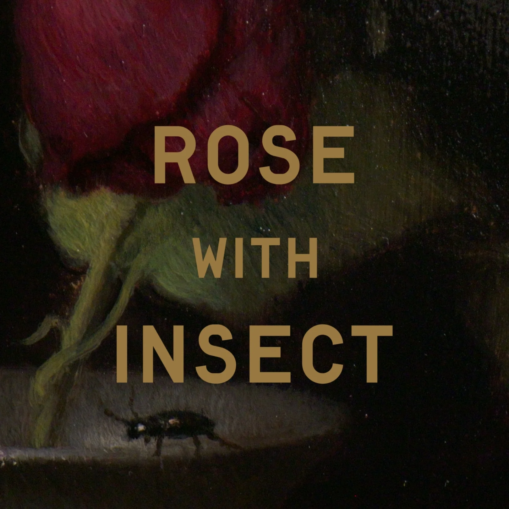 Rose With Insect Gift - Image 3