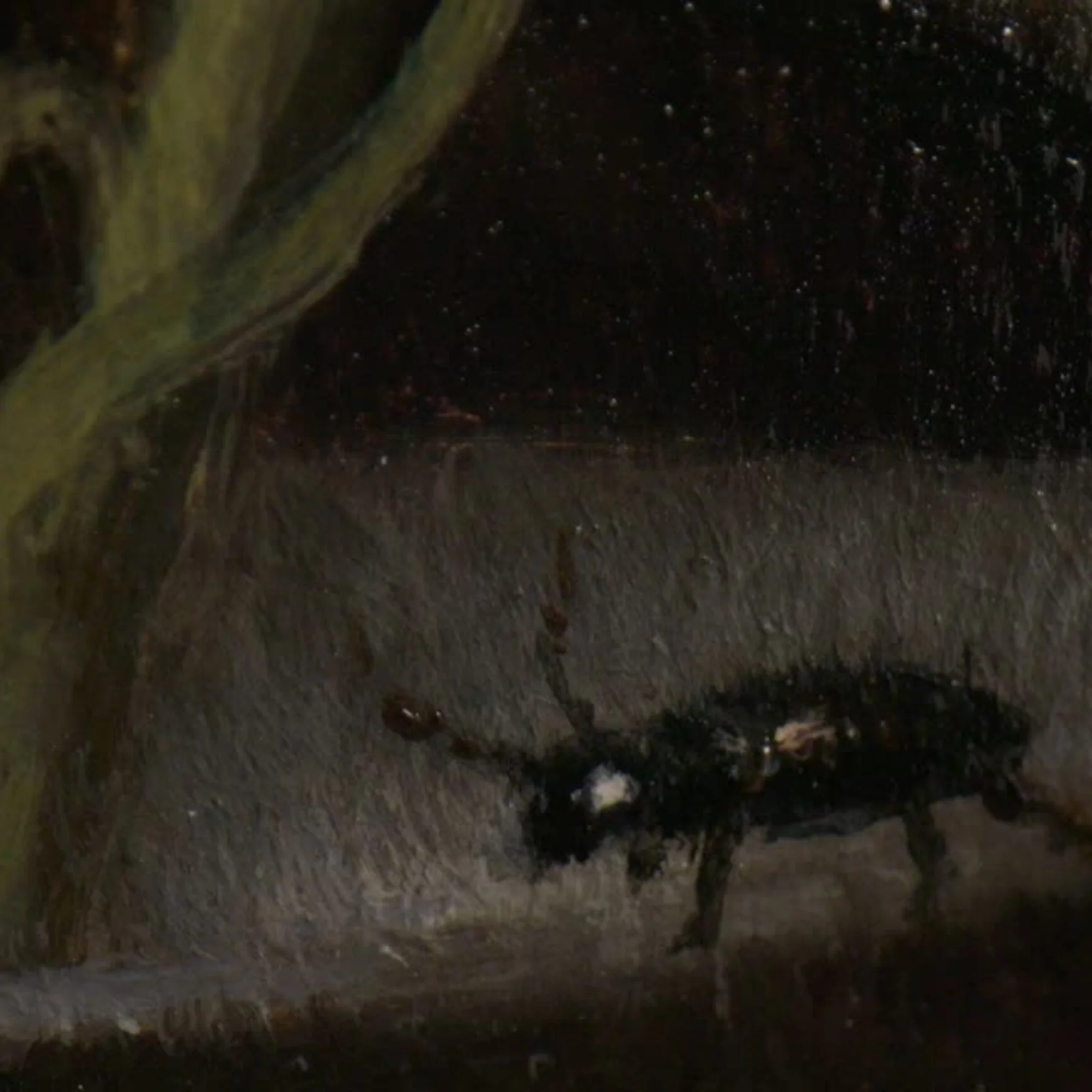 Rose with Insect Limited Edition 50ml Eau de Parfum - Image 4