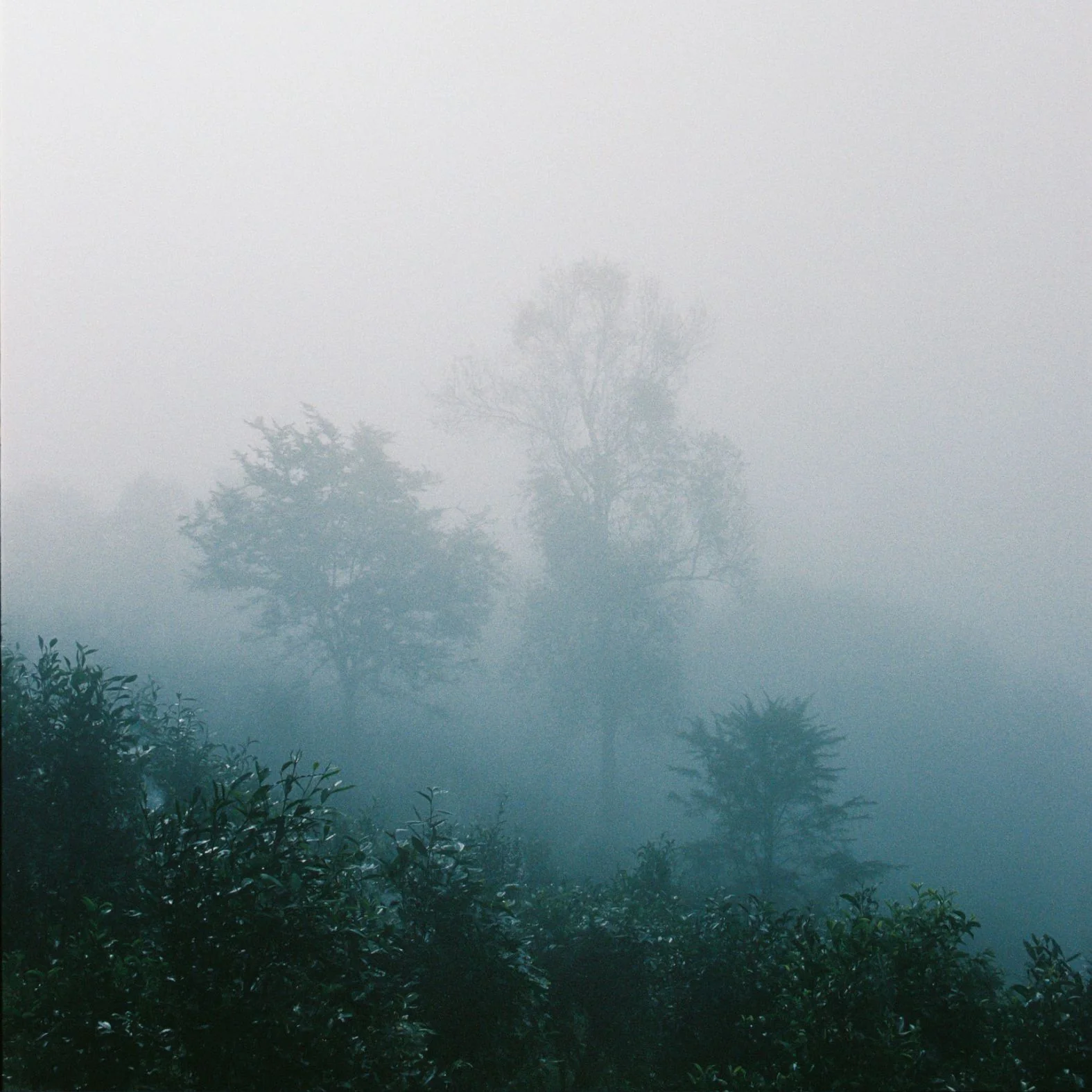 Steam Gift - Image 6